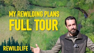 My plans to Rewild an old Irish farm  FULL TOUR [upl. by Akeemaj]