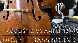 Acoustic vs Amplifier Double Bass Sound [upl. by Nessi]