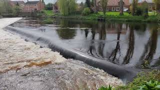 The Wier at Boroughbridge North Yorkshire 11th April 2024 [upl. by Bonne311]