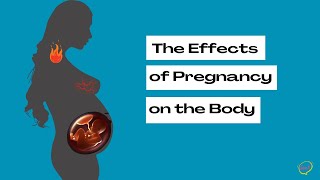 How a Mothers Body Changes During Pregnancy Animation Video  What to expect when youre Pregnant [upl. by Odette919]