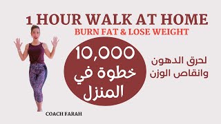 WALK 10000 STEPS AT HOME FOR FAST WEIGHTLOSS  اسرع طريقة لخسارة الوزن المشي 10000 خطوة في المنزل [upl. by Nnylacissej787]