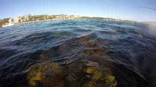 Terrigal haven sharks [upl. by Ennyletak]