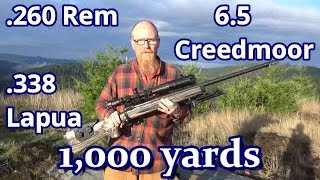 1000 yards 260 Rem 338 Lapua 65 Creedmoor  Long Range Shooting [upl. by Elohcim]