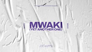 Joe Maffia  Mwaki Yet Another One Visualizer  Mwaki Remix Dance [upl. by Tiphanie]