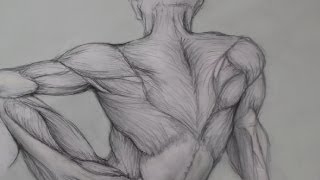 How to Draw Sitting Human Figure 2 [upl. by Neelyahs733]