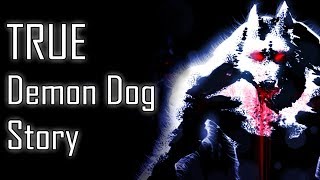 TRUE Demon Dog Story [upl. by Bina]