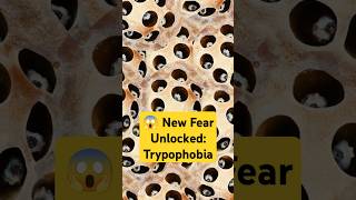 😱 New Fear Unlocked Trypophobia [upl. by Aniles]