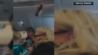 Video shows terrifying moment Scandinavian Airlines flight to Miami hits severe turbulence [upl. by Nidia]