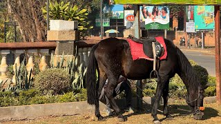 Road trip across Madagascar Antsirabe 1850 kms Nosy Be to Toliara [upl. by Ynaitirb]