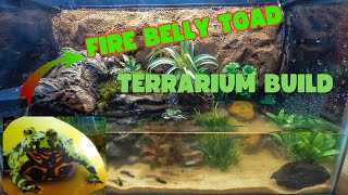 Fire Belly Toad Habitat Build  No Substrate Non Bioactive Step By Step Guide [upl. by Ecile]