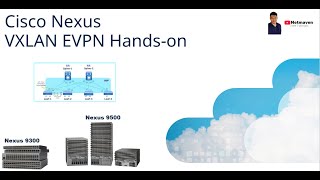 3 Nexus VXLAN EVPN CLI Handson  vPC and Host Connection [upl. by Anoynek]