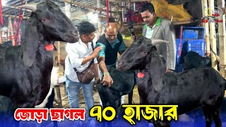 ৭০ হাজার টাকা দিয়ে ছাগল কিনে ফেলল আকরাম ভাই গাবতলী গরুর হাট 2024 [upl. by Noreen]