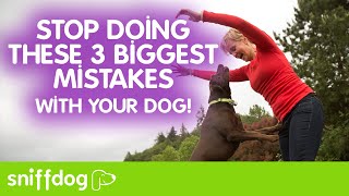 The 3 Biggest Mistakes You Make With Your Dog [upl. by Ysle]