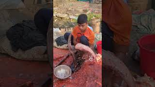 Amazing Big Silver Cup Fish Cutting fish fishcutting fishcuttingskill youtubeshorts [upl. by Aiciram]