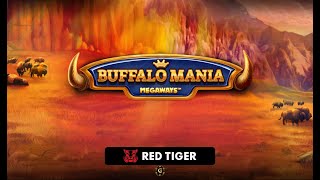 First Spins on Buffalo Mania Megaways by Red Tiger Gaming  Slot Preview All Features [upl. by Dnalyar415]