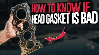 How to See if Head Gasket is Blown  7 Ways to Test [upl. by Marcel]