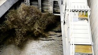 Opening the dam gate after years of it being closed  Dam Sediment flushing [upl. by Wickham]