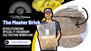 MASTER BRICKS  Gourmet Mushroom Cultivation Revolution [upl. by Eceinhoj]