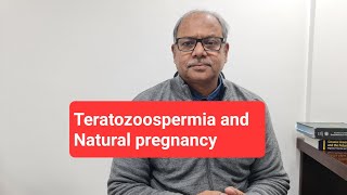 Teratozoospermia and Natural pregnancy Questions taken 2612024 [upl. by Lorou]