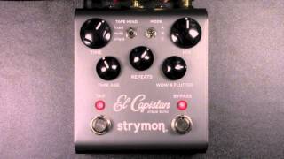 Strymon El Capistan dTape Echo Review  BestGuitarEffectscom [upl. by Gusella]