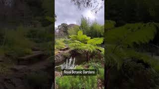 Must visit picnic locations in Melbourne picnic melbourne australia gardens parks [upl. by Erot]