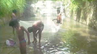 ഇങ്ങനെയുള്ള മീൻപിടുത്തം കണ്ടിട്ടുണ്ടോ palkkad chittoor meenkara dam Fishing video Kerala [upl. by Steep]