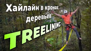 TREELINING  хайлайнинг в кронах деревьев [upl. by Laurene]