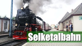 Doku HSBHarzer Schmalspurbahn Selketalbahn 2017 [upl. by Aimo]