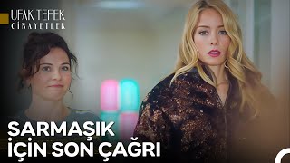 Sarmaşıkta Bir Gün Vlog 29  Ufak Tefek Cinayetler [upl. by Vogel]