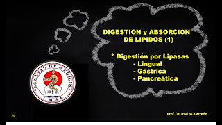 DIGESTION y ABSORCION DE LIPIDOS 1  Clase 24  Dr José M Carreón [upl. by Zales]