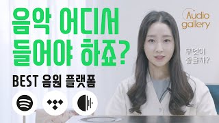 음악 어디서 들어야하죠  BEST 음원 플랫폼 스포티파이vs타이달vs룬 뭐가 좋을까 [upl. by Iives]