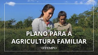 Entenda o que é o Plano Safra da Agricultura Familiar  ACOMPANHE AO VIVO [upl. by Charlie630]