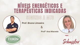 Níveis Energéticos e Terapêuticas Indicadas segundo a MTC [upl. by Ballman]