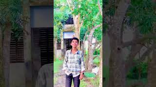 Mosha koy ami hathi shortvideo viralvideo2024 voice video [upl. by Anatak574]