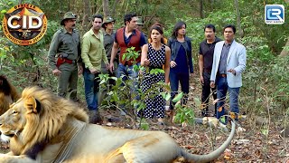 Jungle में हुआ जब Team CID का इस खतरनाक शेर से सामना  Best Episode  Best Of CID  Full Episode [upl. by Bugbee]