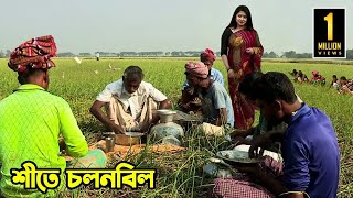 শীতের চলনবিলে মানুষের জীবন  Panorama Documentary [upl. by Grosvenor]