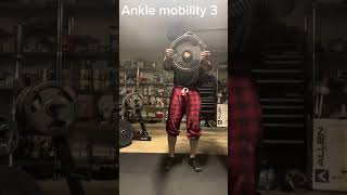 Ankle mobility and hip mobility [upl. by Rahman309]