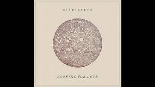 Birdtalker  Looking for Love Official Audio [upl. by Imehon49]