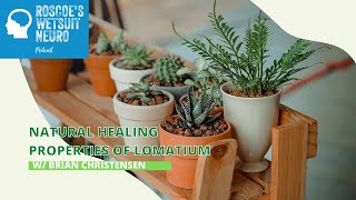 Natural Healing Properties of Lomatium w Brian Christensen [upl. by Cordova]