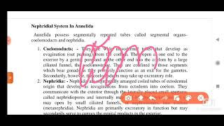 Filter feeding  structure and method in polychaeta msc zoology 1 semester notes amp explanation [upl. by Amehsat655]