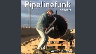 Pipelinefunk Concert Live [upl. by Clapp]