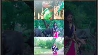 Ke Khelabek Boyar Kara Hole Besamal ।। Singer  Tapati Mahata ।। 2024 New Purulia Jhargram Jhumur [upl. by Alemap]