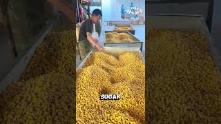 Processing Corn Wine [upl. by Nosauq70]