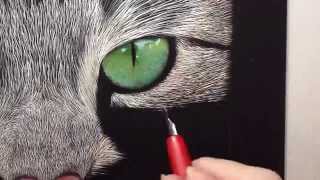 Incredible Tabby Cat Scratch Board Speed Drawing [upl. by Eikcin]