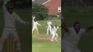 lbw Cricket crickshorts Cricketnews cricketlovers crickethighlights cricketfans cricketfever [upl. by Harbot]