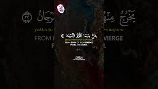 Most Beautiful Surah ArRahman سورة الرحمن Recitation to Calm Your Heart amp Soul  Quran FM [upl. by Karoline985]