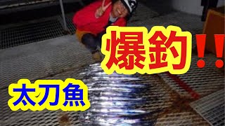 【とっとパーク小島】爆釣‼️太刀魚‼️８４匹‼️楽しすぎる1時間半‼️ [upl. by Hoagland]