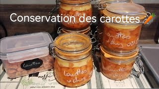 Conservation des carottes en stérilisation et deshydratation [upl. by Eilliw]