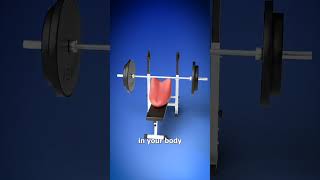 Its part of my all over body workout trending workout funny comedy popular latest [upl. by Svetlana]