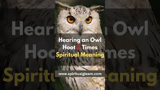 Hearing an Owl Hoot 3 Times Spiritual Meaning [upl. by Annhej]